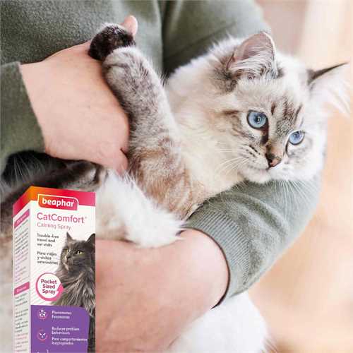 40_17125_catcomfort_spray_priority_7_1677237441_187279.jpg