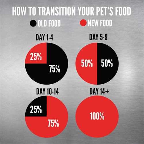 80_orijen_all_dog__cat_diets_ecommerce_carousel_transition_1678965647_9d23e4.jpg