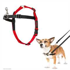 99_1__halti_front_control_harness_small_product_image_1670333406_3df457.jpg
