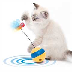 99_43165_catit_play_spinning_bee_with_cat_01_1634728249_e42c46.jpg