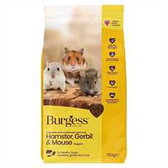 99_burgess_hamster_gerbil_mouse_1686751729_e48844.jpg