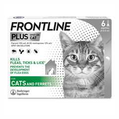 99_frontline_plus_6_children_shot_cat_rgb_no_pipette_1716377122_74ec9d.jpg