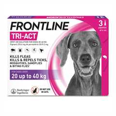 99_frontline_tri_act_3_children_shot_dog_20to40_bi_no_pipette_rgb_1696515683_689747.jpg