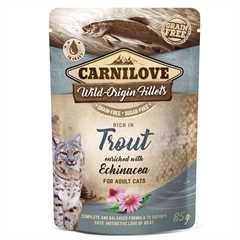 99_trout_with_echinacea_cat_pouch_1597161276_bb076f.jpg