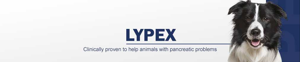 Lypex