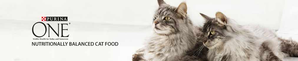 Purina ONE