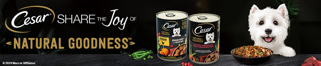 Cesar - Share The Joy