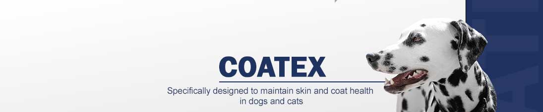 Coatex