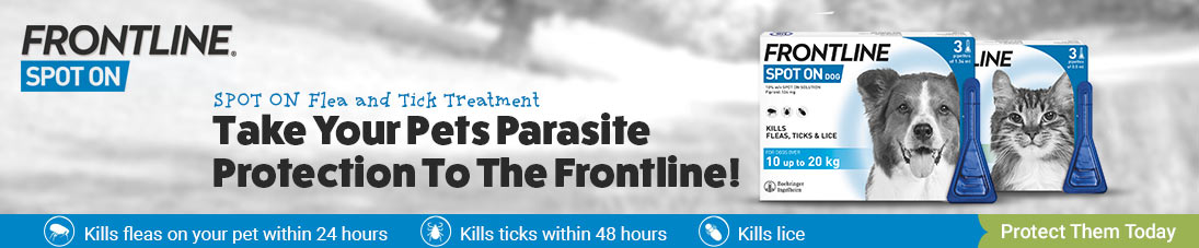 Take Your Pets Parasite Protection To The Frontline!