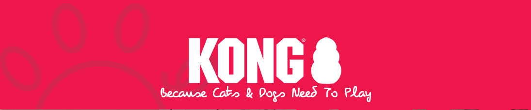 Kong Toys