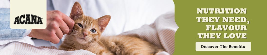Acana Cat Food