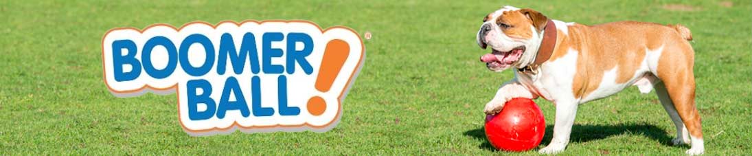 Boomer Ball