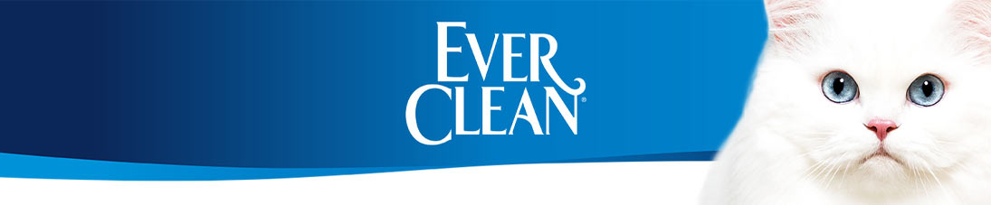 Ever Clean