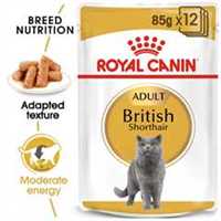 ROYAL CANIN Feline Breed Nutrition British Shorthair Adult Wet Cat Food In Gravy - 12 x 85g Pouch