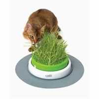 Catit Senses 2.0 Grass Planter