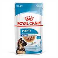Royal Canin Size Health Nutrition Maxi Wet Puppy Food in Gravy - 10x140g Pouches