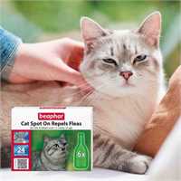 10_17813_ecommerce_spot_on_cat_en_image_4_1691580984_6c8232.jpg