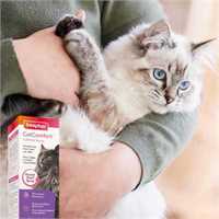 40_17125_catcomfort_spray_priority_7_1677237441_187279.jpg