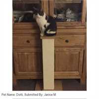 460_smartcat_ultimate_scratching_post_04_1583502227_c7f15e_customer_picture.jpg