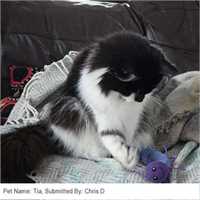 500_kong_cat_nibble_critter_catnipillar_cat_toy_02_1611244178_b10549_customer_picture.jpg