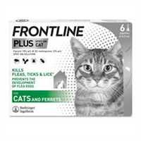 99_frontline_plus_6_children_shot_cat_rgb_no_pipette_1716377122_74ec9d.jpg