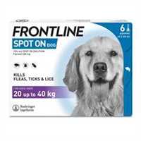 99_frontline_spot_on_6_children_shot_l_dog_rgb_1696929145_a92d3e.jpg