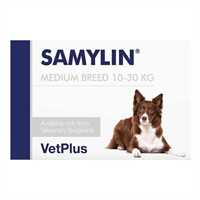 99_samylin_medium_breed_1686565789_748aa2.jpg