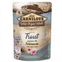 99_trout_with_echinacea_cat_pouch_1597161276_bb076f.jpg