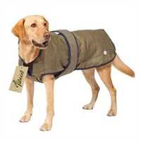 99_tweed_dog_coat_with_dog_1622106272_085c6d.jpg