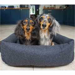 40 Winks Memory Foam Snuggle Dog Bed - Small