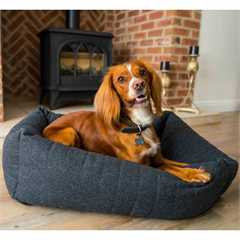 40 Winks Memory Foam Snuggle Dog Bed - Large