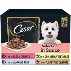 CESAR Deliciously Fresh Favourites Adult Wet Dog Food in Sauce - 48x100g Pouches