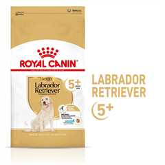 Royal Canin Breed Health Nutrition Labrador Retriever Adult 5+ Dry Dog Food - 12kg