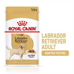 Royal Canin Breed Health Nutrition Labrador Retriever Adult Wet Dog Food - 10x140g Pouches