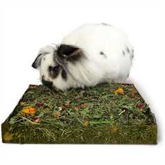 Rosewood Naturals Nibble N Dig Meadow Small Pet Treat