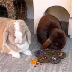 Rosewood Naturals Flower n Forage Blossom