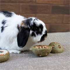 Rosewood Boredom Breakers Treat n Gnaw Bunny Buns - 2 Pack