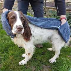 Henry Wag Glove Drying Towel - 100x22cm