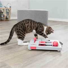 Trixie Cat Activity Brain Mover Slow Feeder Cat Toy