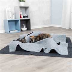 Trixie Cat Activity Adventure Carpet Cat Toy