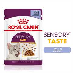 Royal Canin Feline Health Nutrition Sensory Taste in Jelly Wet Cat Food - 12x85g Pouches