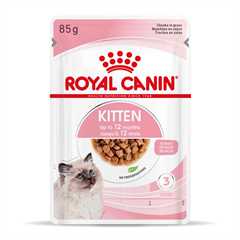 Royal Canin Feline Health Nutrition Kitten Wet Cat Food in Gravy - 12x85g Pouches