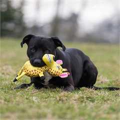 Rosewood Tough Safari Dog Toy - Giraffe