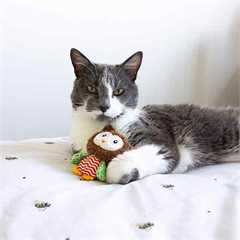 Rosewood Little Nipper Boggle Owl Kitten Toy