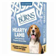 Burns Adult/Senior Wet Dog Food - Lamb & Rice - 12x150g Trays 