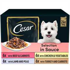 CESAR Deliciously Fresh Adult Wet Dog Food in Sauce - 24x100g Pouches