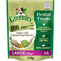 Greenies Original Dog Dental Chews - 170g 