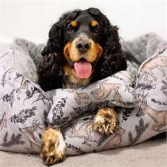 Rosewood Winter Woodland Bundle Dog Bed - M/L