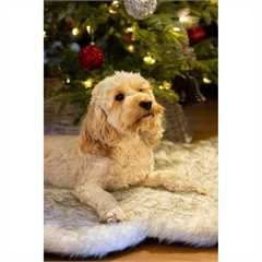 Rosewood Faux Fur Orthopaedic Rug Dog Bed