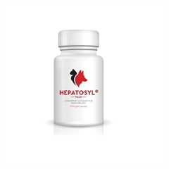 Hepatosyl Plus - 200mg - 60 Capsules